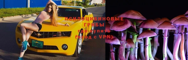 амф Липки