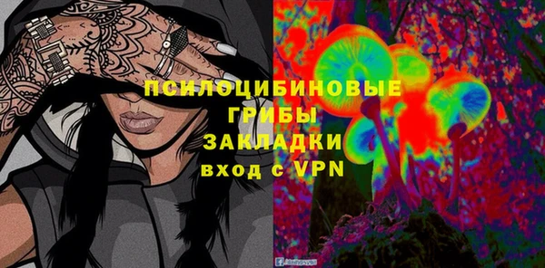 амф Липки