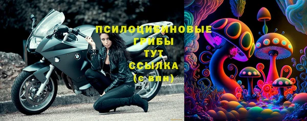 амф Липки