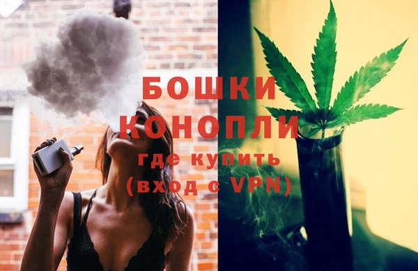 молекула духа Лиски